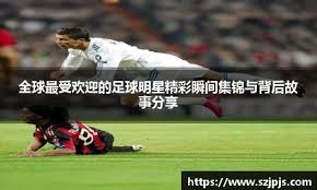 登哥啊，人家秋雅结婚，你搁这又蹦又跳的