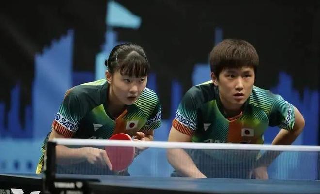 们的不懈努 们的不懈努