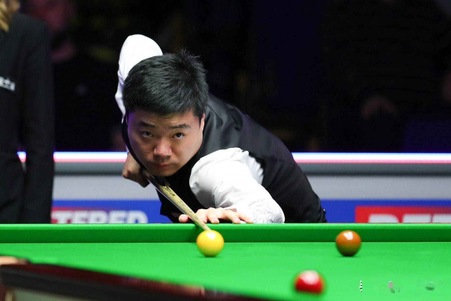 的库明加 的库明加